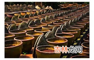 吃酱油会留疤吗,小时候常听父母说,受伤吃酱油会留疤,这是真的吗?