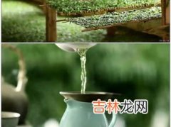 金银花露可以天天喝吗,请问金银花露和橙子可以同吃吗？