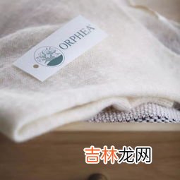 衣鱼虫的窝一般在哪儿有,衣鱼虫子是怎么来的?