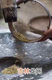 衣鱼虫的窝一般在哪儿有,衣鱼虫子是怎么来的?