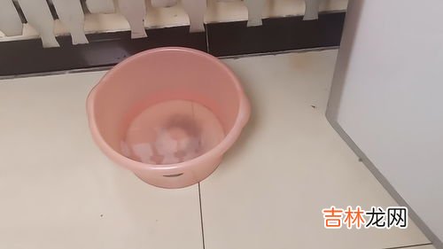 开空调太干燥放盆水有用吗,开空调屋里放盆水有用吗