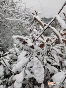 酸雨现象属于,酸雨是怎么造成的