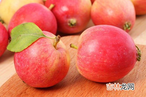 沙果是什么水果,野沙果是什么果子