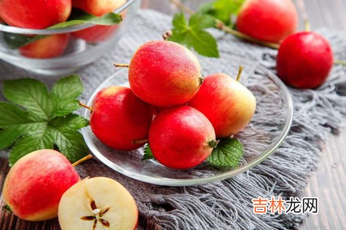 沙果是什么水果,野沙果是什么果子