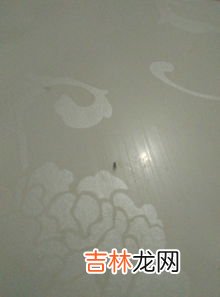 屋里有小飞虫怎么消灭,从哪里来的,屋里有小飞虫怎么消灭