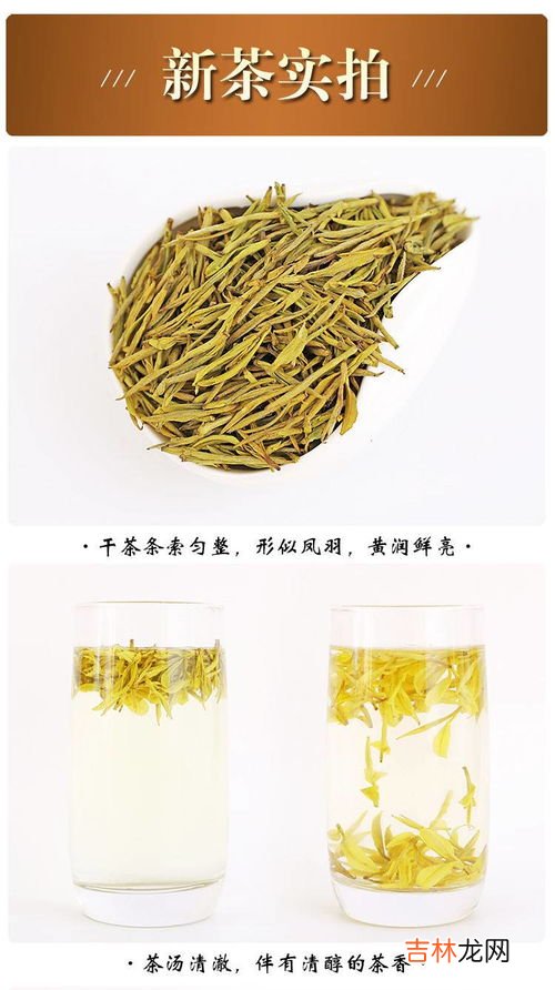 黄金芽茶叶是什么茶,黄金芽茶叶是什么茶