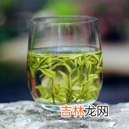 黄金芽茶叶是什么茶,黄金芽茶叶是什么茶