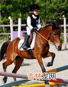 马术课对孩子有什么帮助,孩子学马术好吗?