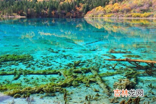 五花海为什么叫五花海,人们把这些九寨沟的湖泊叫做“五花海”、“五彩池”,主要有两个原因:一是;二是。