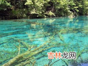 五花海为什么叫五花海,人们把这些九寨沟的湖泊叫做“五花海”、“五彩池”，主要有两个原因：一是；二是。