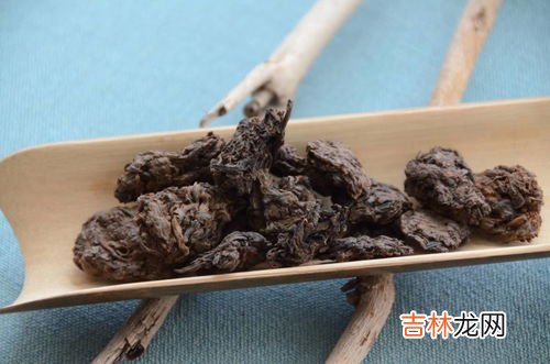 老茶头是什么茶,普洱茶老茶头是什么 好喝的老茶头要如何挑选