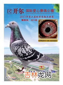 四川萬利達賽鴿公棚在什麽地方,查紅軍工棚今年有多少賽鴿