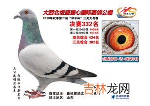四川萬利達賽鴿公棚在什麽地方,查紅軍工棚今年有多少賽鴿