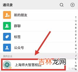天然气怎么查询余额,天然气余额怎么查