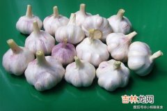 大蒜能杀菌吗,大蒜为什么杀菌 吃大蒜有什么好处