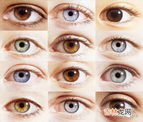 柴油弄眼睛里有影响吗,我眼底不好,经常接触柴油汽油有伤害吗?最近总觉得眼睛干涩眼睛特别累的感觉时不长的头痛,汽油柴油对…