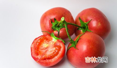 西红柿能放冰箱吗,番茄能冷冻吗