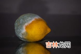 酱油发霉怎么回事,酱油里有白毛怎么处理