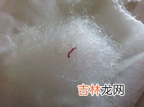 净水剂对鱼有害吗,鱼缸里添加净水剂对鱼有影响吗