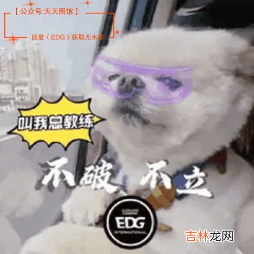 edg牛逼什么梗,edg行为什么梗？