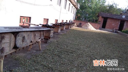 拍摄乡村生活的抖音名,乡村赵大姐拍抖音是哪里人