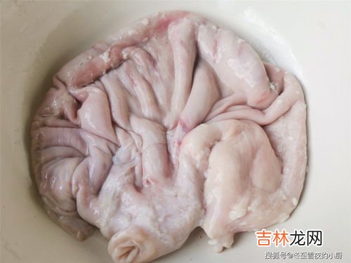 猪肚子怎么洗才干净,猪肚子怎么洗才干净