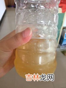 蜂蜜保存常温还是冰箱,蜂蜜要放冰箱保存吗