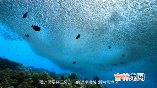 地热能是可再生能源吗,可再生能源有那些??