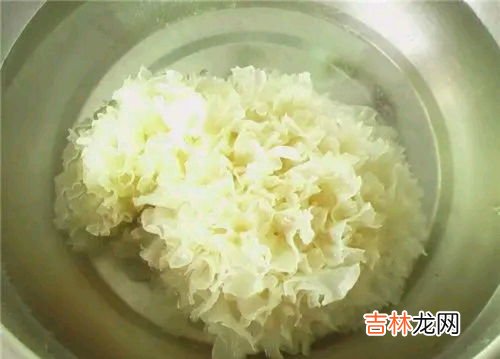泡发银耳能放几天,银耳泡在水中能放多久