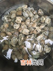 花蛤冷冻后还能开壳吗,花甲冷冻了还能吃吗