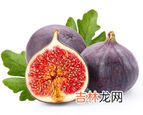 无花果怎么吃最好,无花果怎么吃啊?