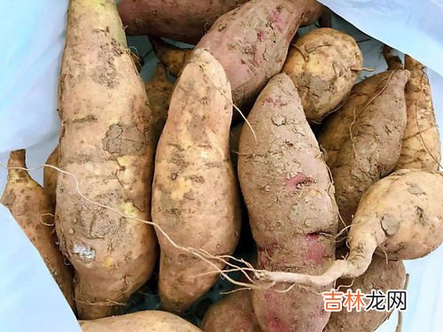 锅烧干了怎么办,炒菜锅烧干了的解决方法