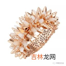 探索cartier手表价格的背后故事,求大侠帮忙看看我的cartier手表多少钱