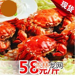大闸蟹需要清洗吗,大闸蟹要不要刷一下 大闸蟹刷洗刷哪里