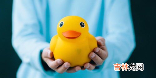 小黄鸭的生活习性,小黄鸭怎么养？