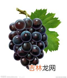 用牙膏洗葡萄好吗,葡萄怎么洗