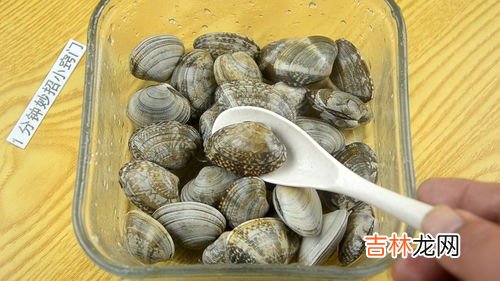 花蛤可以放在冰箱里吗,花蛤放冰箱保鲜第二天能吃吗？
