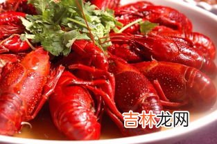 豆渣能喂小龙虾吗,玉米和黄豆那一样喂龙虾好点