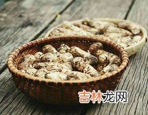 松茸如何保存效果最好,松茸怎样保存最好