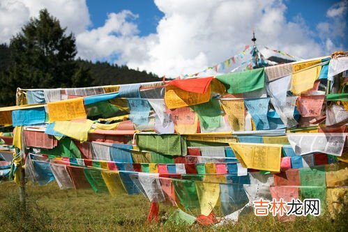 藏民的生活和风俗,藏族的民风民俗 藏族有什么特色的风俗活动