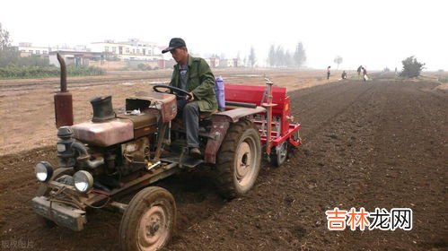 立冬后还能种小麦吗,立冬后还能种小麦吗