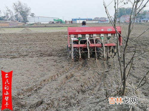 立冬后还能种小麦吗,立冬后还能种小麦吗