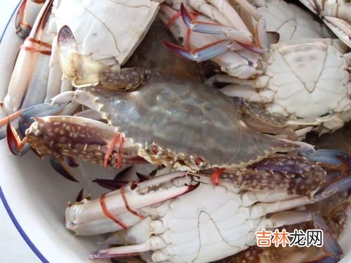 梭子蟹煮多久可以食用,梭子蟹螃蟹蒸多久最佳