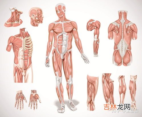 人为什么会恐高,为什么有很多人都恐高?