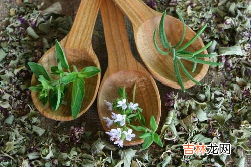 炖汤能放紫苏吗,羊肉炖时放了八角,肉桂,香叶还可以加紫苏吗?