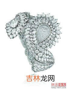 TASGO手表是什么牌子,tasgo手表时间慢了怎么调?
