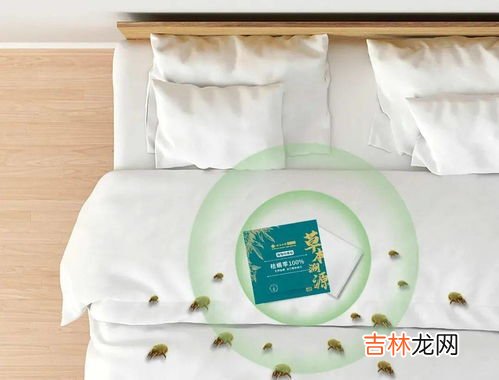 床上有螨虫怎么处理,床上螨虫怎么处理
