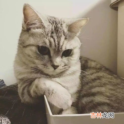 夏天体温多少正常,成年人夜间体温35度多点正常吗