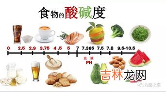 小米是酸性还是碱性食物,小米是酸性还是碱性食物?