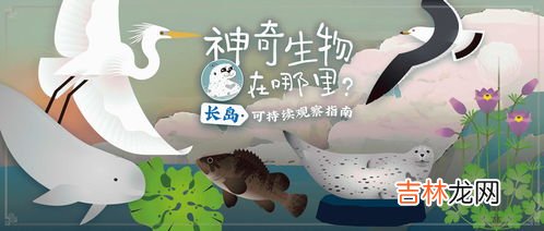 我国拥有几个海洋生态系统,我国四大海洋生态系统